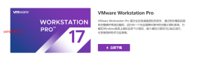VMware操作系统完美去虚拟化 Win10 Pro 22H2 x64 支持VMware 17.0.2 【过鲁大师/过强壳】 - 学社山中人-学社山中人