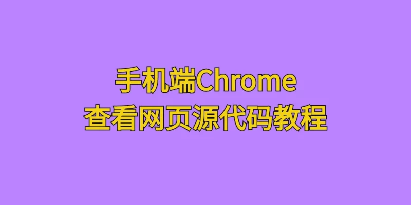 [亲测可用]手机端Chrome查看网页源代码 - 学社山中人-学社山中人