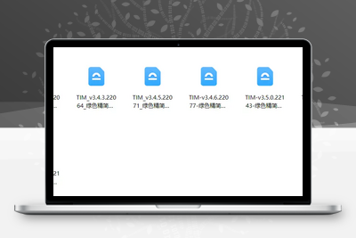 TIM精简版-Windows软件-学社山中人