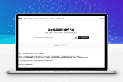[亲测可用]哔哩哔哩视频在线下载-学社山中人