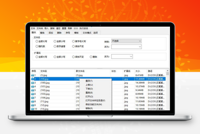 zRenamer(批量改名工具)v1.5 绿色版-学社山中人