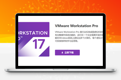 VMware操作系统完美去虚拟化 Win10 Pro 22H2 x64 支持VMware 17.0.2 【过鲁大师/过强壳】-学社山中人