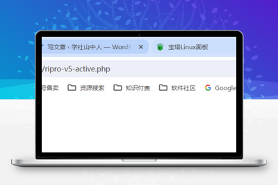 ripro-v5主题激活教程-学社山中人
