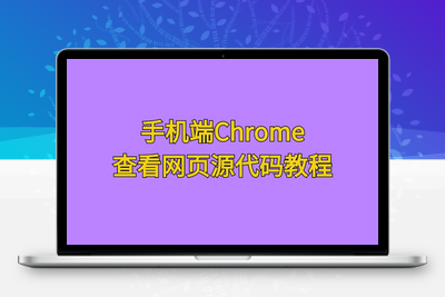 [亲测可用]手机端Chrome查看网页源代码-学社山中人