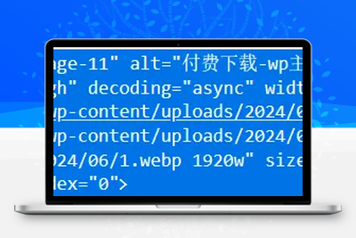 [亲测可用]实现自动给整站文章图片添加Alt和Title信息WordPress优化教程-学社山中人